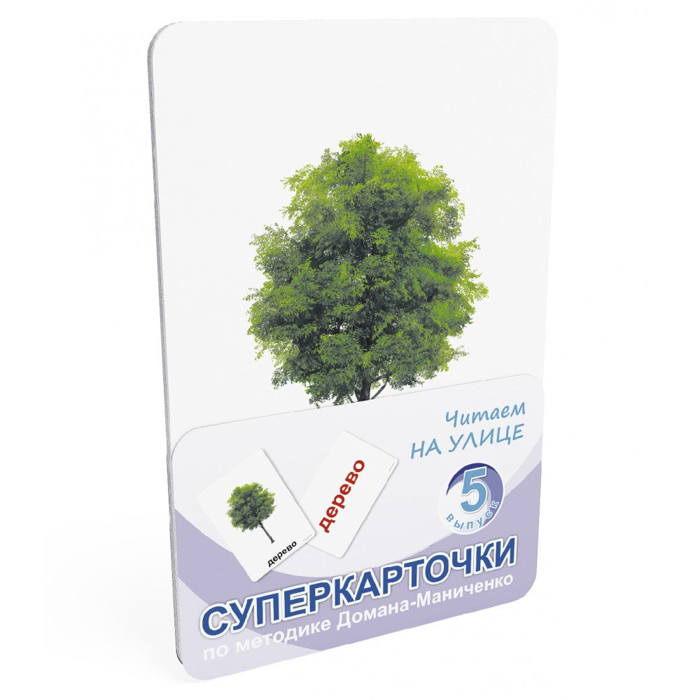 სუპერბარათები. ვკითხულობთ ქუჩაში. ადრეული განვითარება