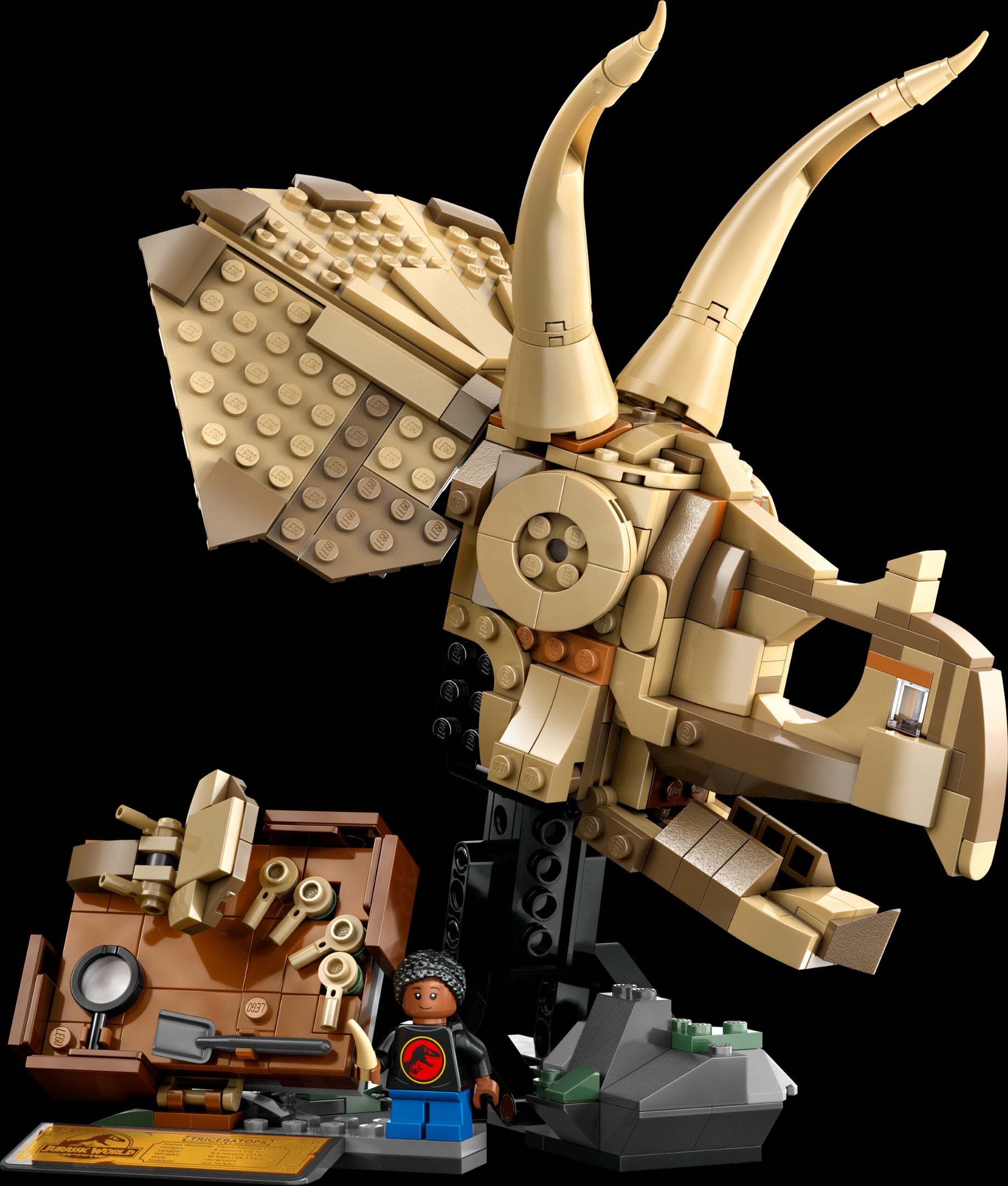 LEGO Jurassic World™ Dinosaur Fossils: Triceratops Skull