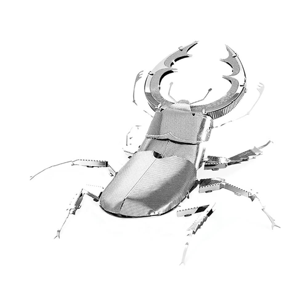 Stag Beetle (1φ) Assemble Model